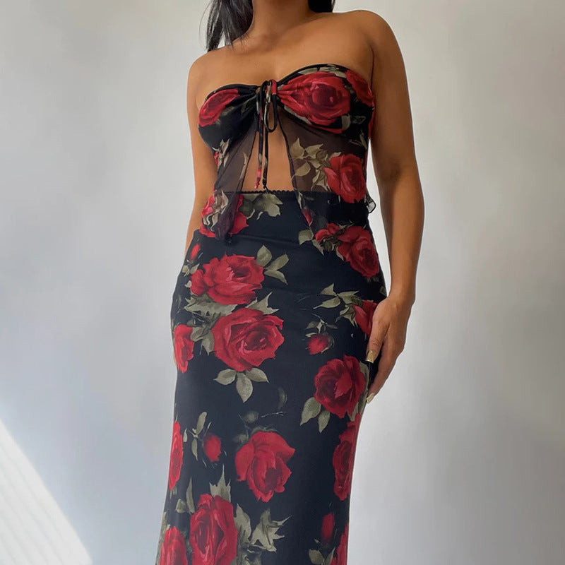 Y2K Mesh Rose Print Low Rise Maxi Skirt and Split Tube Top set